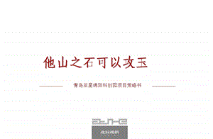 山东青岛亚星绵阳科创园项目地块发展策略书_207页.ppt