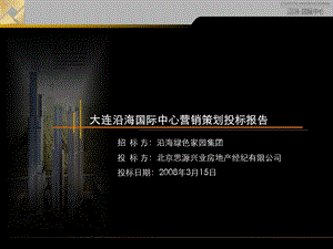 思源——大连沿海国际中心营销策划投标报告.ppt