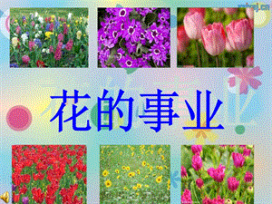 数字故事《花的事业》_免费下载.ppt