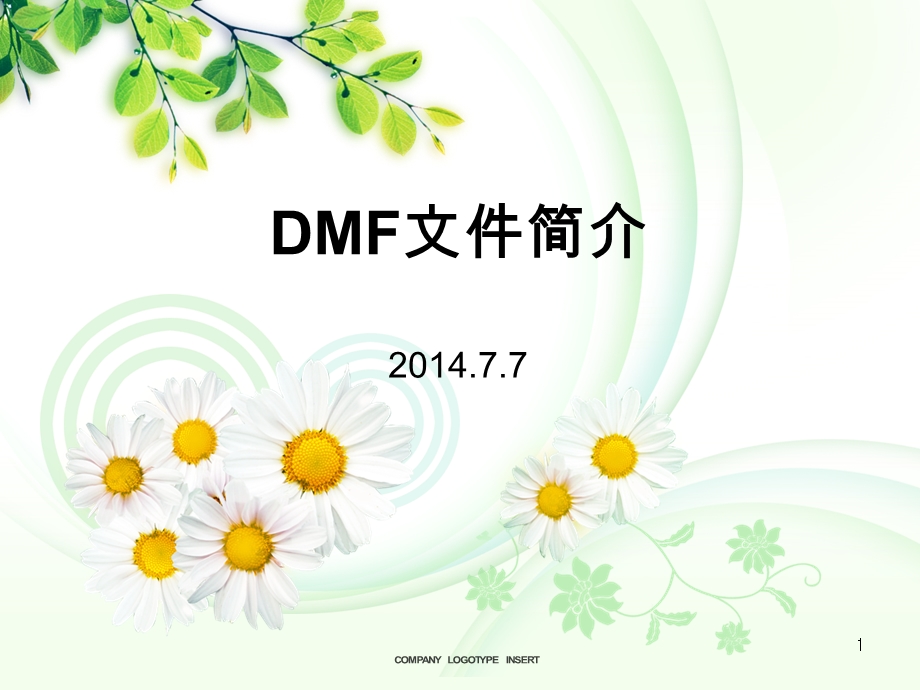 DMF文件简介..ppt_第1页