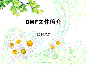 DMF文件简介..ppt