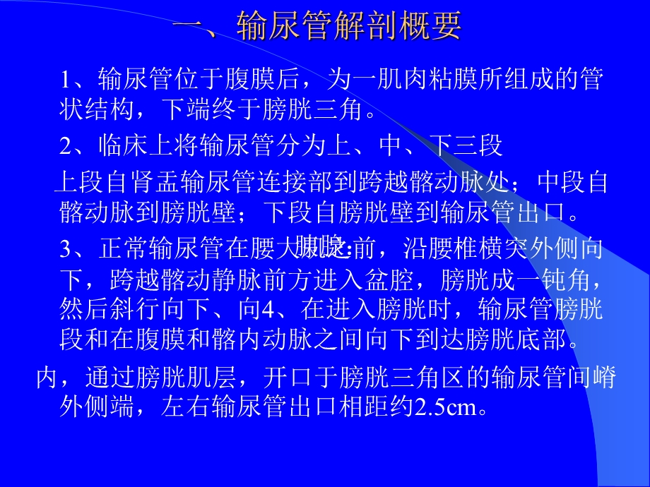 输尿管疾病的超声检查及疾病诊断翟连会河南.ppt_第2页