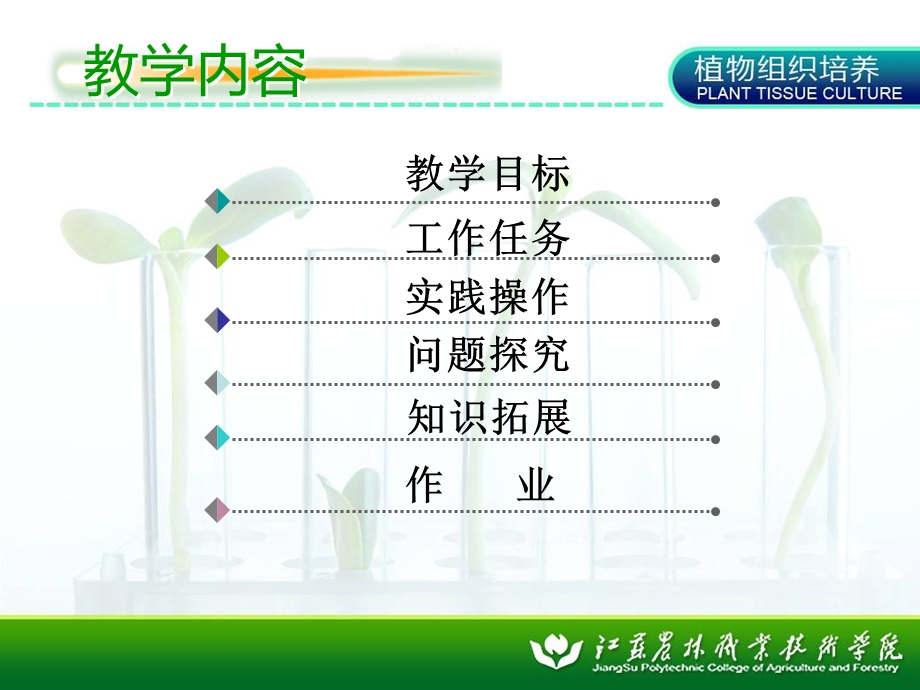 3）将愈伤组织在液体培养基中培养.ppt_第3页