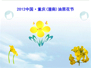 2012潼南油菜花节.ppt.ppt