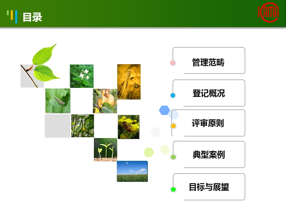 生物农药的管理与登记要求 2013全国生物农药发展与应用交流大会.ppt_第2页