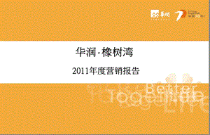 20110227华润橡府2011年营销报.ppt