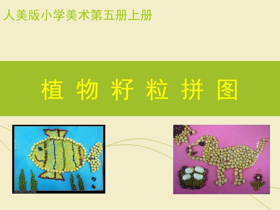 人美版小学美术三年级上册《植物籽粒拼图用》课件.ppt_第1页