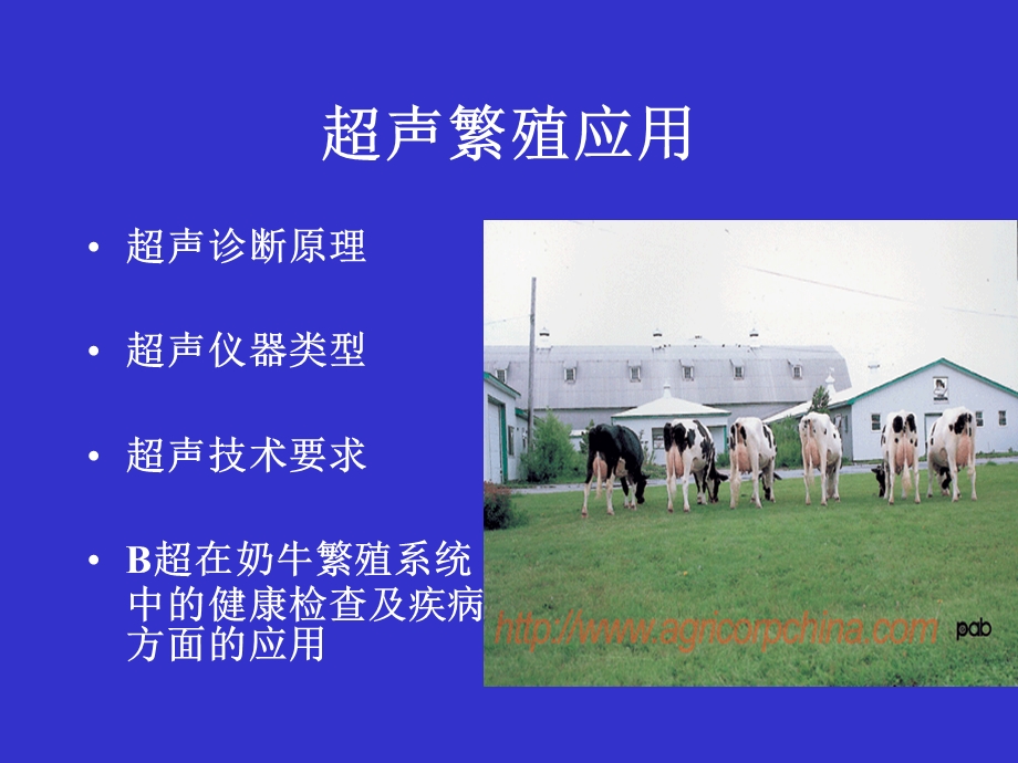 B超繁殖引用.ppt_第2页