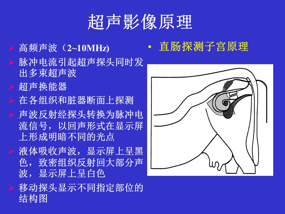 B超繁殖引用.ppt_第3页