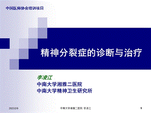 2012精神分裂症的诊断与治疗.ppt