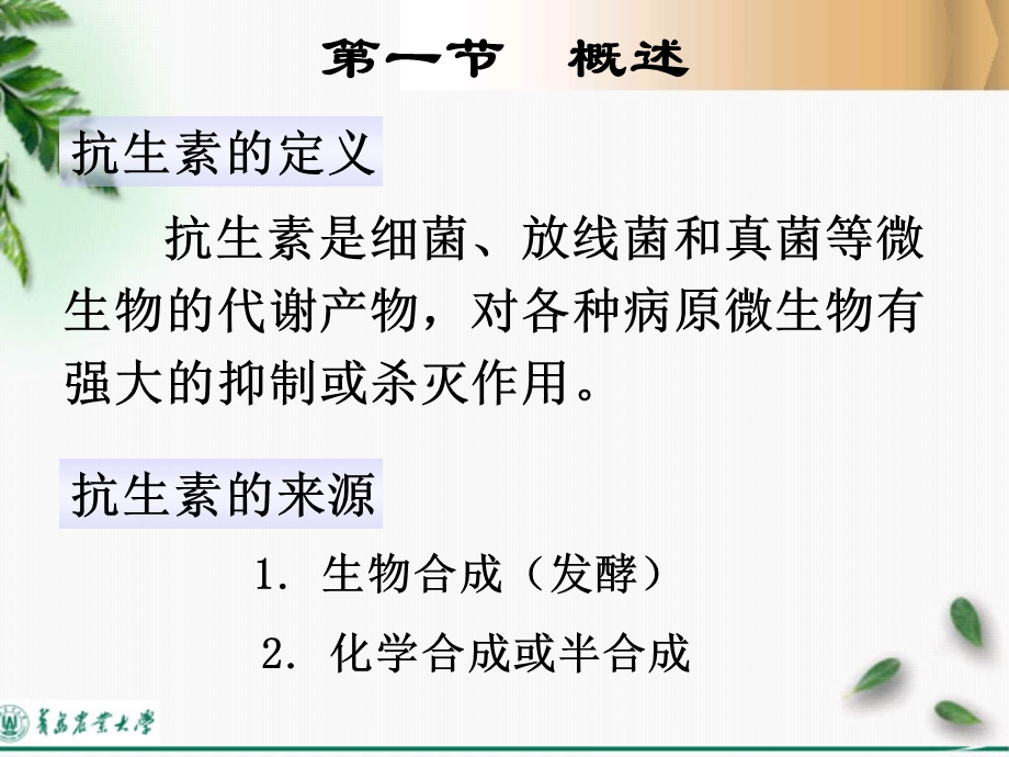 抗生素类药物的分析.ppt_第2页