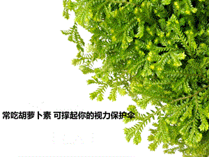 常吃胡萝卜素_可撑起你的视力保护伞.ppt