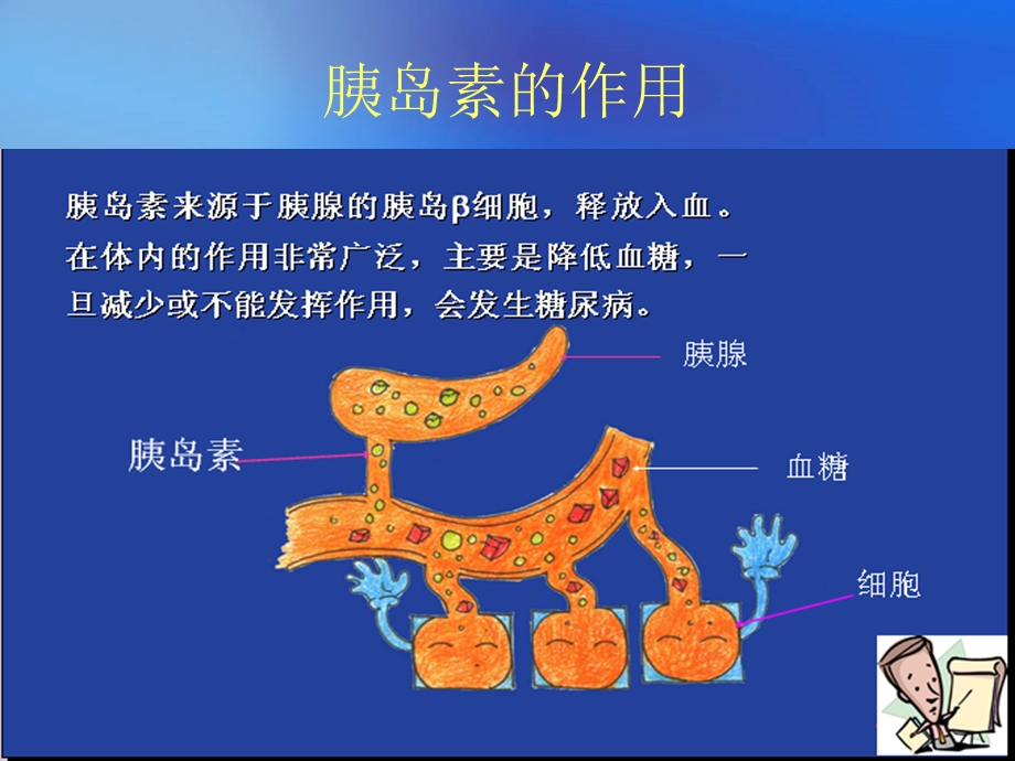 糖尿病周围神经病20101209.ppt_第3页