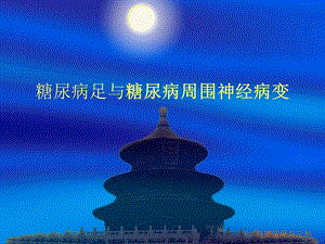 糖尿病周围神经病20101209.ppt