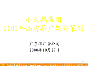 广东省广-小天鹅品牌推广媒介策略.ppt