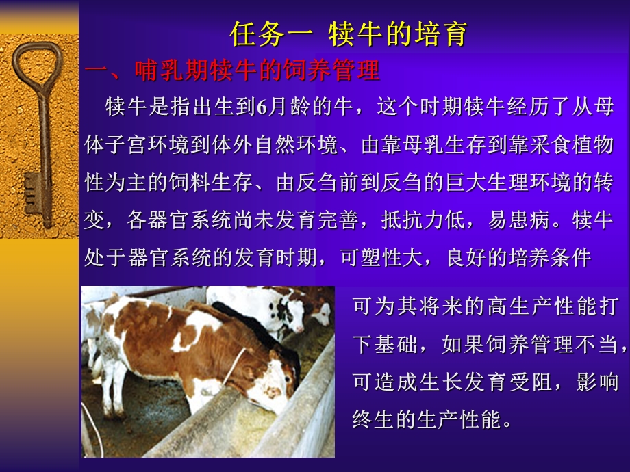 奶牛饲养管理技术（精品PPT） .ppt_第2页