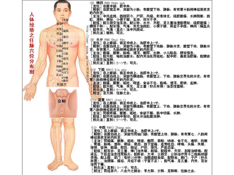 人体穴位作用图解及保健按摩.ppt_第3页