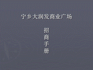 湖南长沙宁乡大润发商业广场招商手册(1)(1).ppt