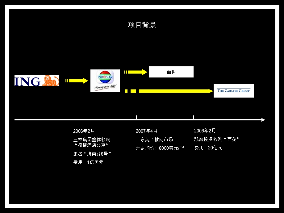 上海天价豪宅济南路8号营销分析-18PPT-2008年(1).ppt_第3页