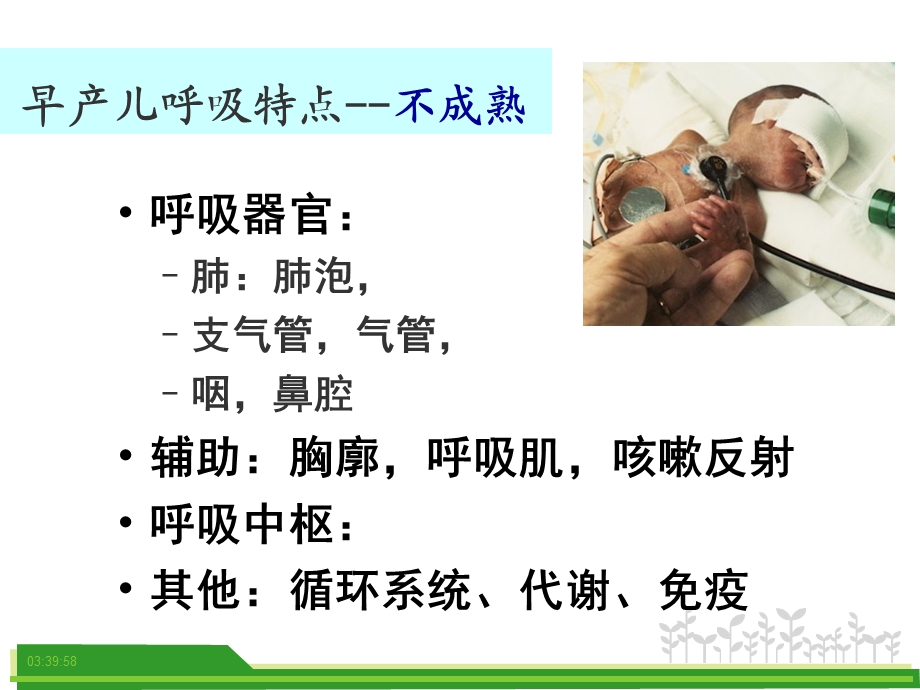 医院早产儿呼吸道管理3(1).ppt_第2页