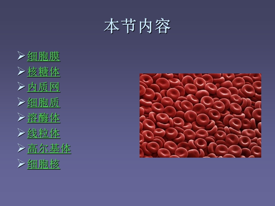 细胞结构(2).ppt_第3页