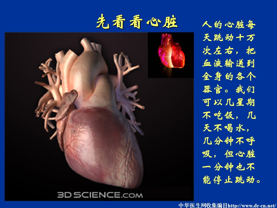 冠心病介入治疗简述.ppt_第2页