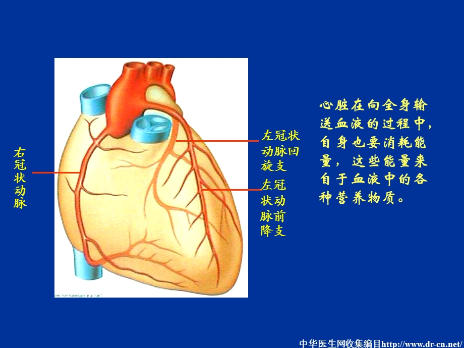 冠心病介入治疗简述.ppt_第3页