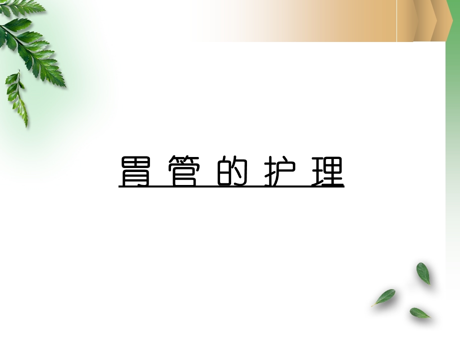 各类导管的护理.ppt.ppt_第3页