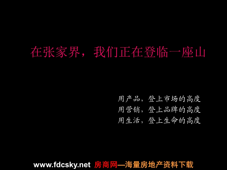 2010年张家界·溪布街项目整合推广策略初案(1).ppt_第2页