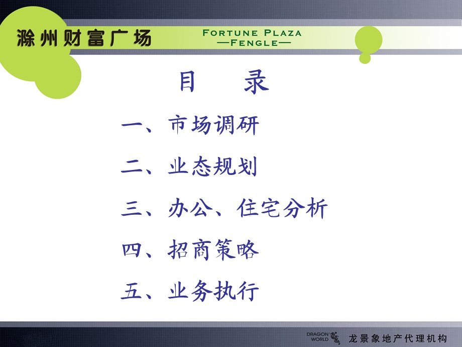 安徽滁州财富广场商业项目前期提案_64PPT_2008年(2).ppt_第2页