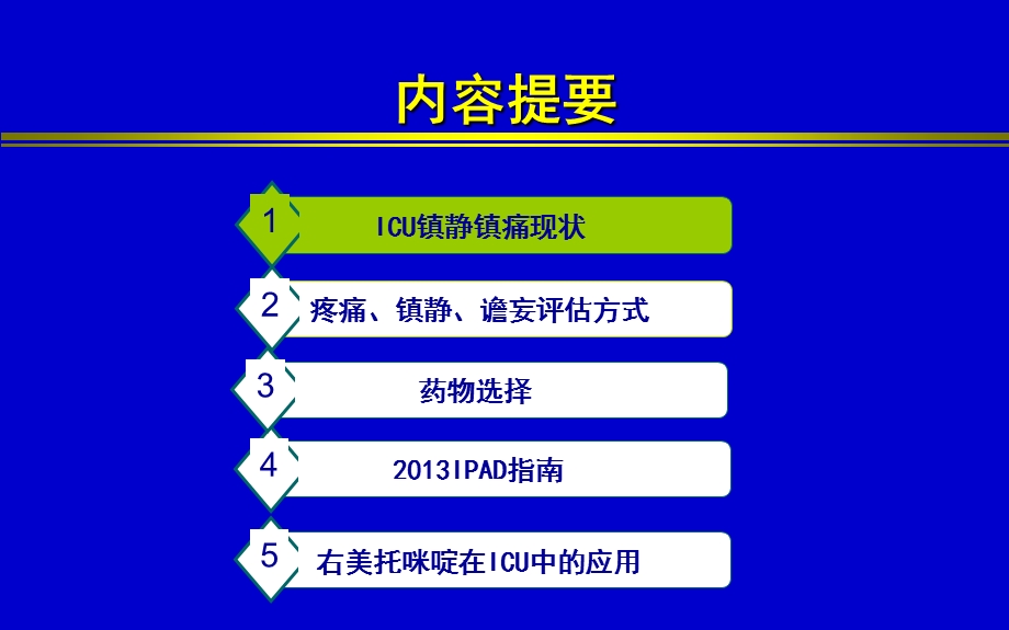 重症患者谵妄、躁动和镇静治疗.ppt_第2页