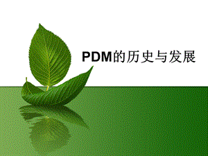 PDM的历史与发展.ppt