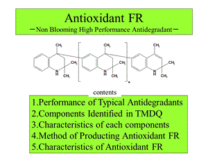 FR英文资料(2).ppt