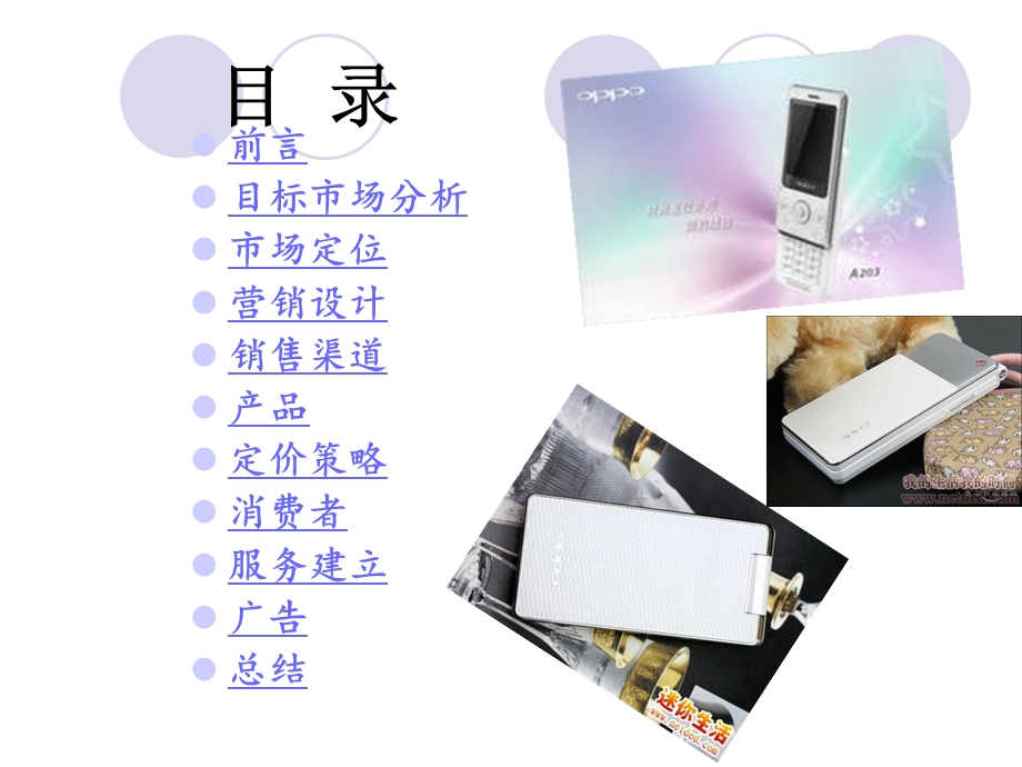 OPPO手机网络营销策划书(1).ppt_第2页