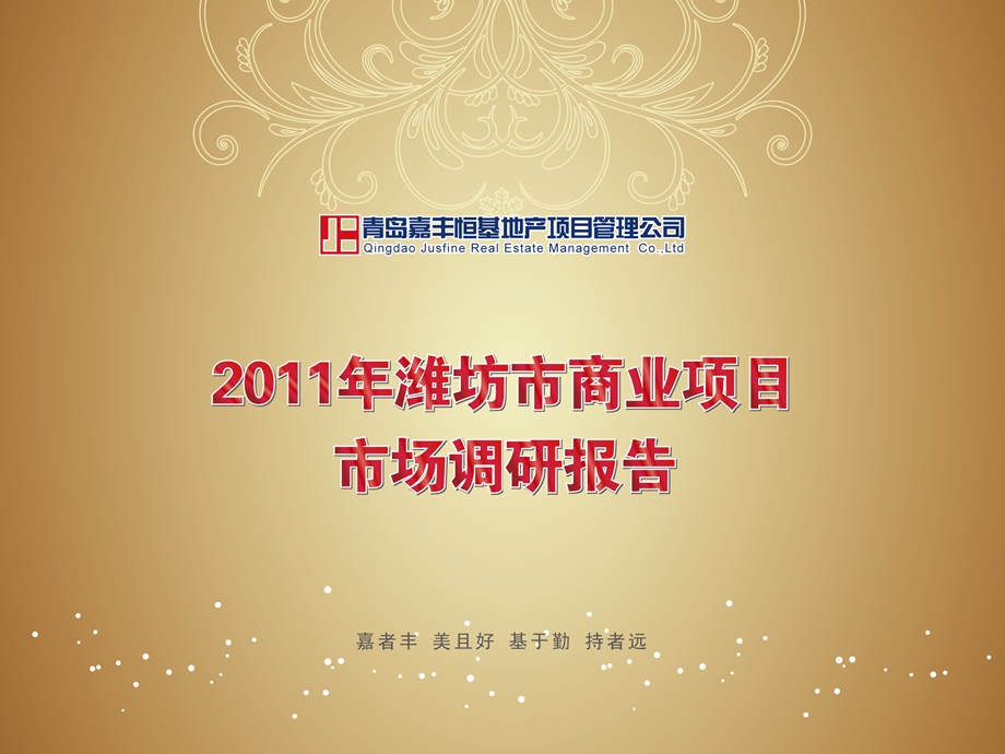 2011年潍坊市商业项目市场调研报告69P(2).ppt_第1页