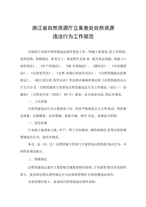 《浙江省自然资源厅立案查处自然资源违法行为工作规范》.docx