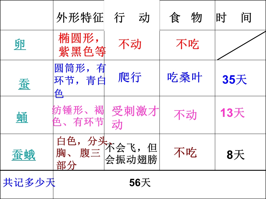 教科版小学科学《蚕的生命周期》 (2).ppt_第2页