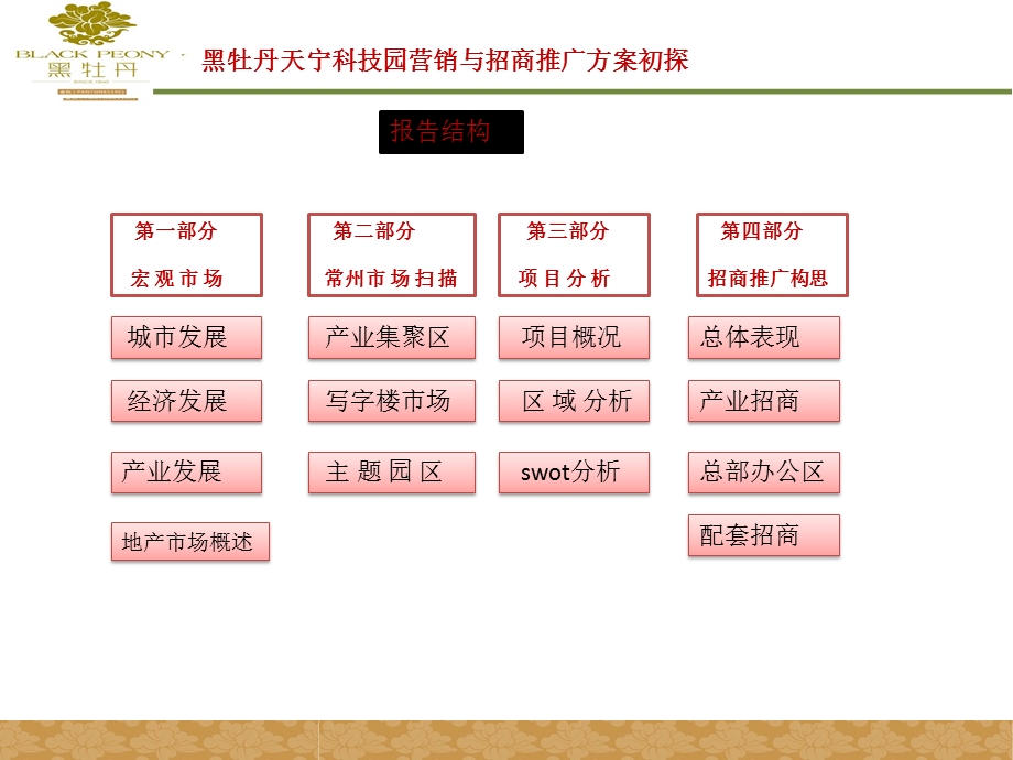 常州黑牡丹天宁科技园营销与招商推广方案初探49P.ppt_第1页