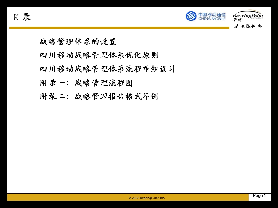 战略管理流程手册1(2).ppt_第2页