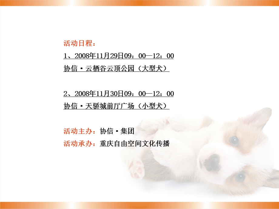 协信·大渝网爱生活爱宠物活动策划.ppt_第3页
