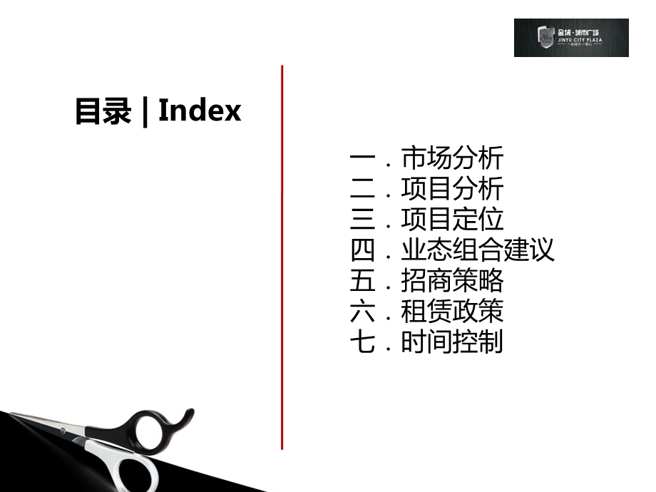 城市广场商业区规划商业组合建议培训讲座PPT(2).ppt_第2页