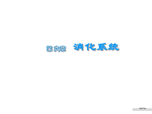 【基础医学】第六章　消化与吸收.ppt