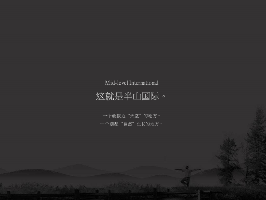 2010年南昌 保利半山国际整合推广策略148p(1).ppt_第2页