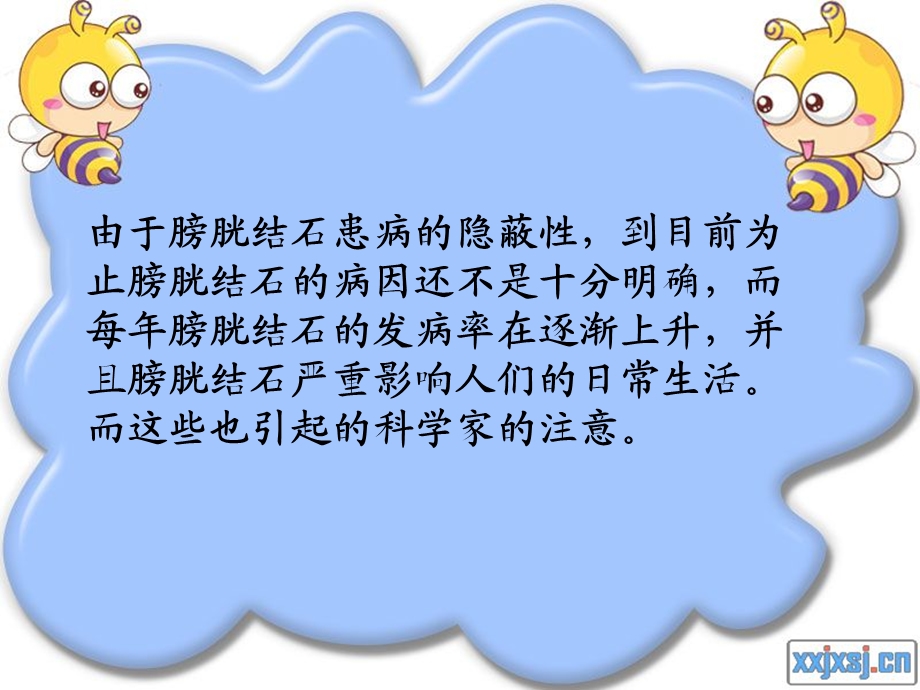 膀胱结石.ppt_第2页