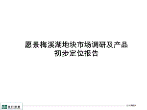 2012长沙愿景梅溪湖地块市场调研及产品初步定位报告67p(1).ppt