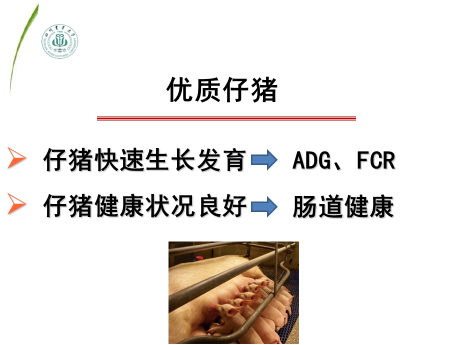 教槽料营养与营养结构.ppt_第3页