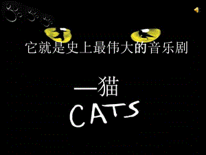 猫-超级精美动态PPT作品.ppt