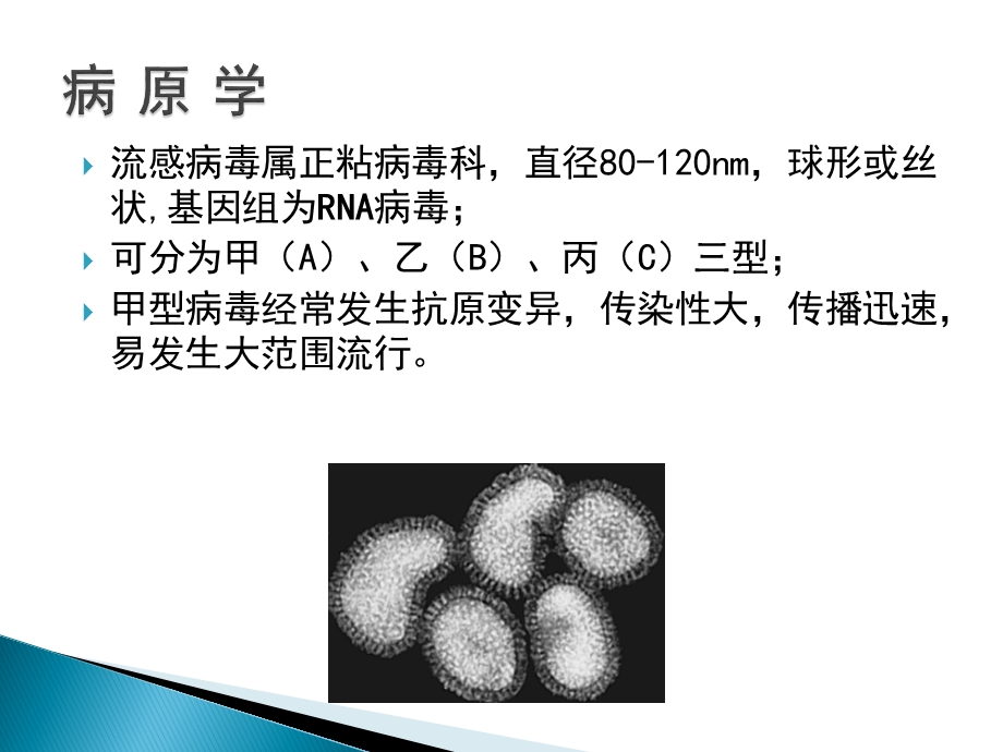 流行性感冒诊治现状.ppt_第3页