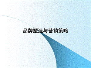 品牌塑造与营销策略(ppt 61)(2).ppt