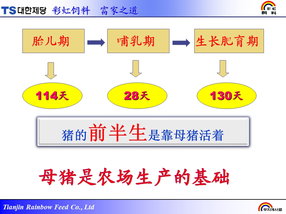 母猪PSY与五阶段饲养.ppt_第3页